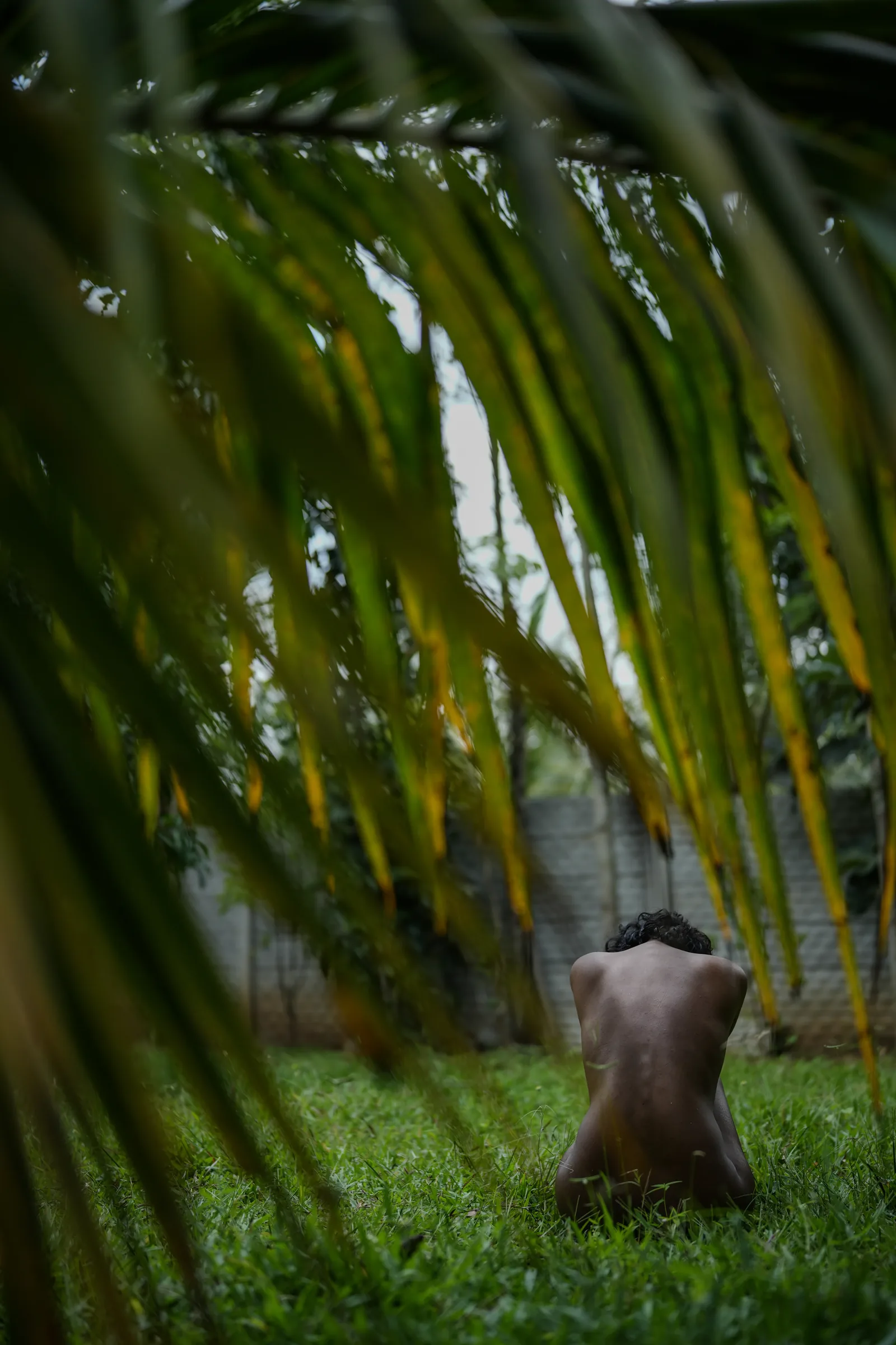 Fine art portrait framed by palm fronds